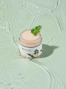 Mugwort Calming Moisturizer – Ενυδατική κρέμα με αρτεμισια για καταπράυνση