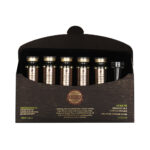 VIESO Argan Oil Extreme Repair Serum 10ml x 5pcs - Image 2